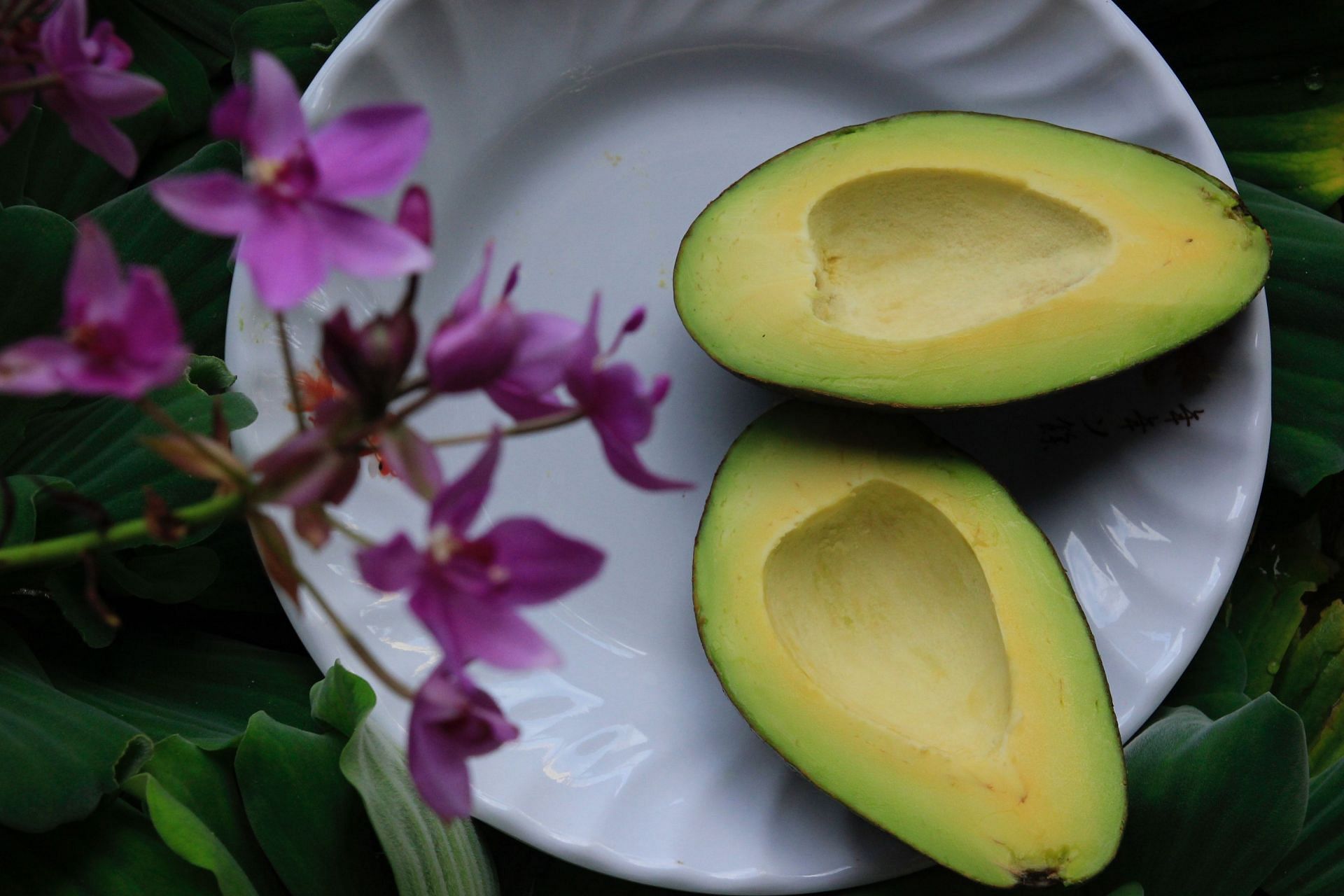 Nutrition in avocado and much more. (Image credits: Pexels/ Anne)